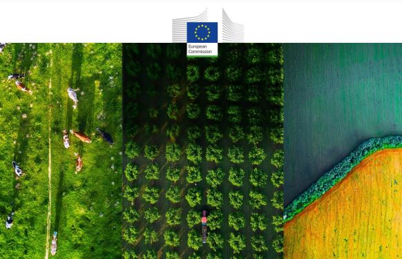 Ue Agricultural Outlook 2022 - 2032: rallenta la crescita della produzione nei principali settori