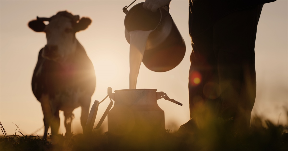In calo il prezzo garantito di FrieslandCampina di febbraio