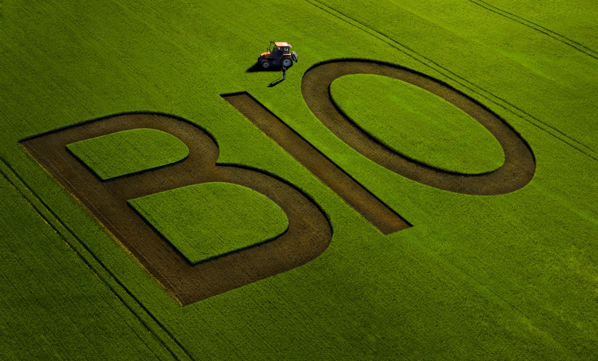 Agricoltura biologica, un decennio di crescita