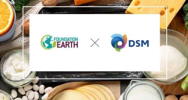 Sostenibilità, accordo fra Royal DSM e Foundation Earth
