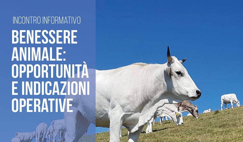 Ecoschema 1 Zootecnia della nuova PAC: chiarimenti dal Ministero