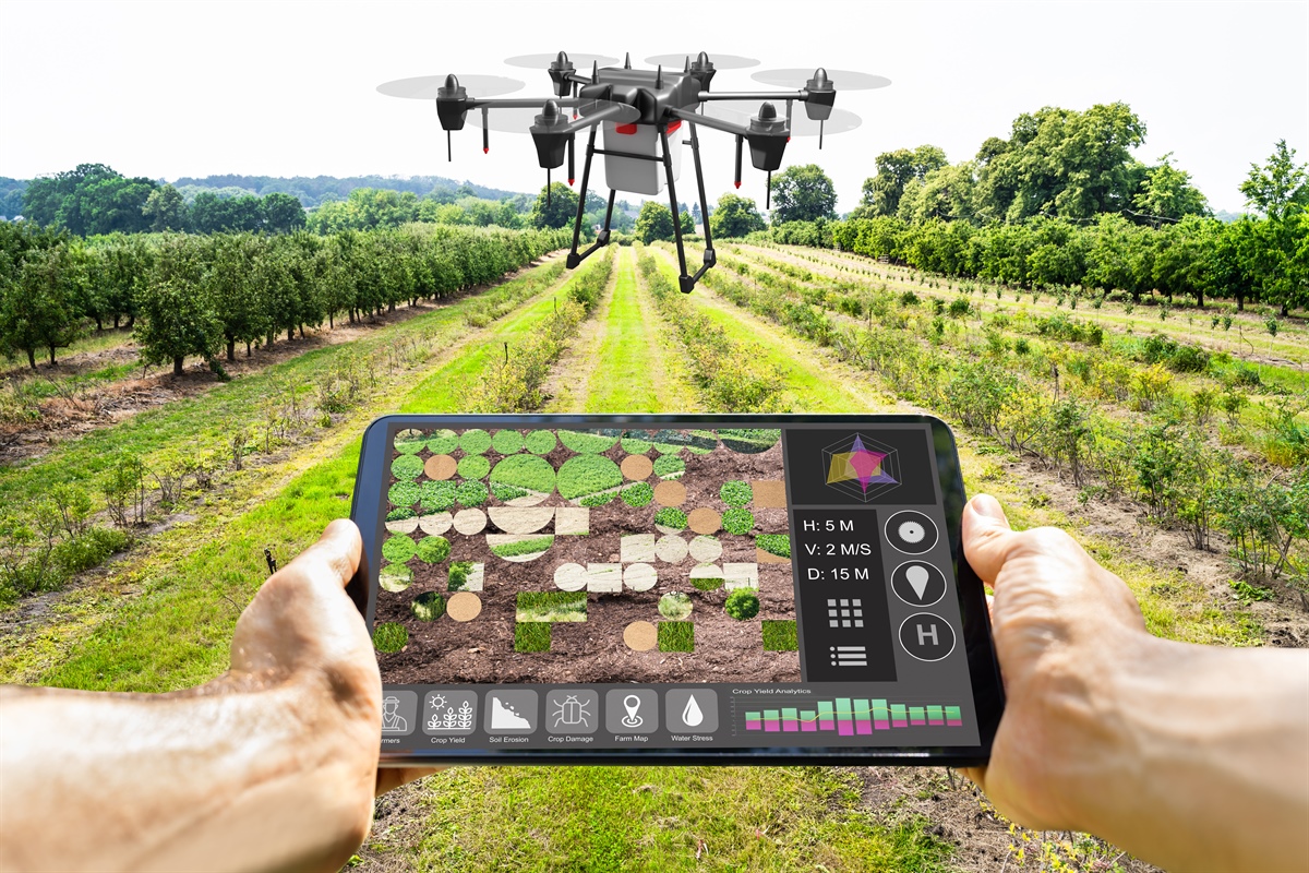 Agricoltura 4.0, oltre 2 miliardi di fatturato per le tecnologie