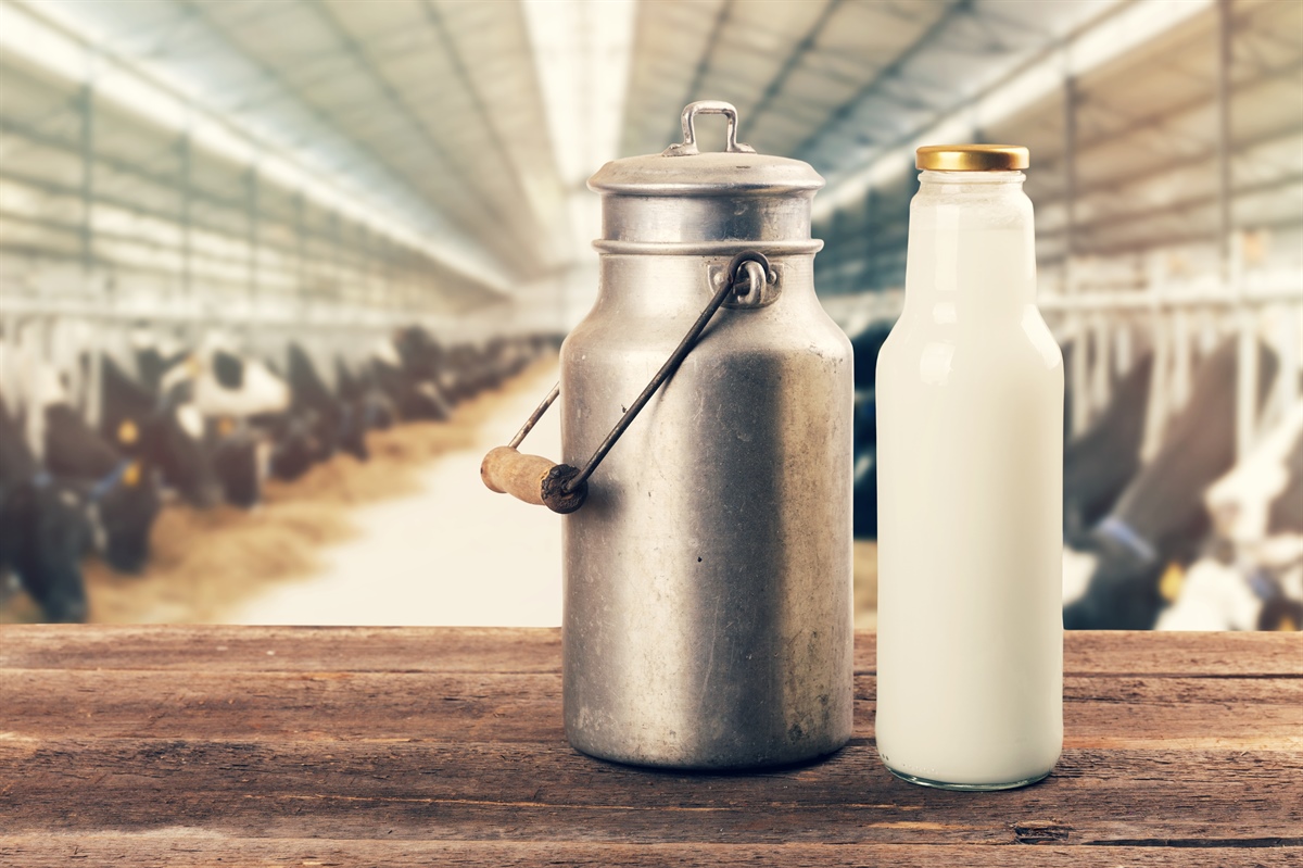 Latte, prezzo medio globale a gennaio è stato di 54,29 euro per 100 kg di latte