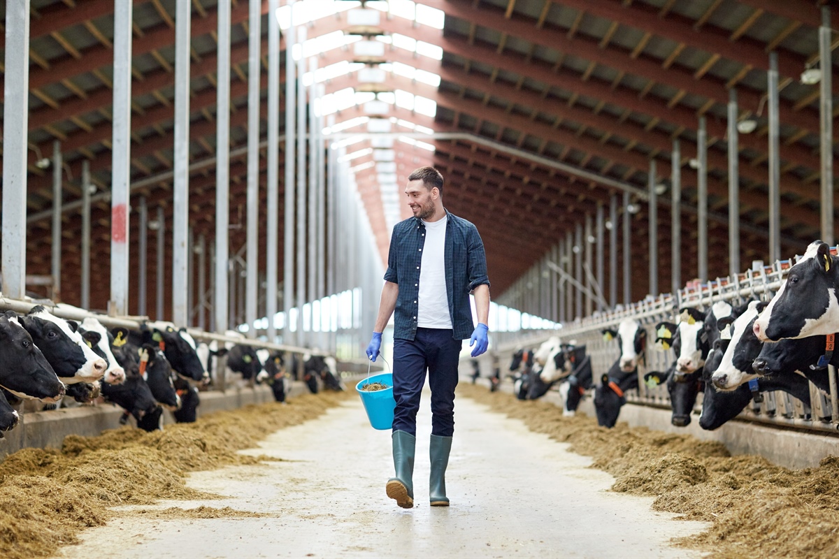 Arla UK esorta i giovani a investire nel settore agricolo