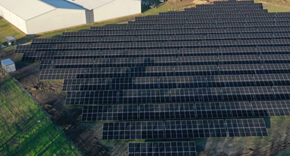 Arla Foods inaugura un nuovo impianto fotovoltaico in Polonia