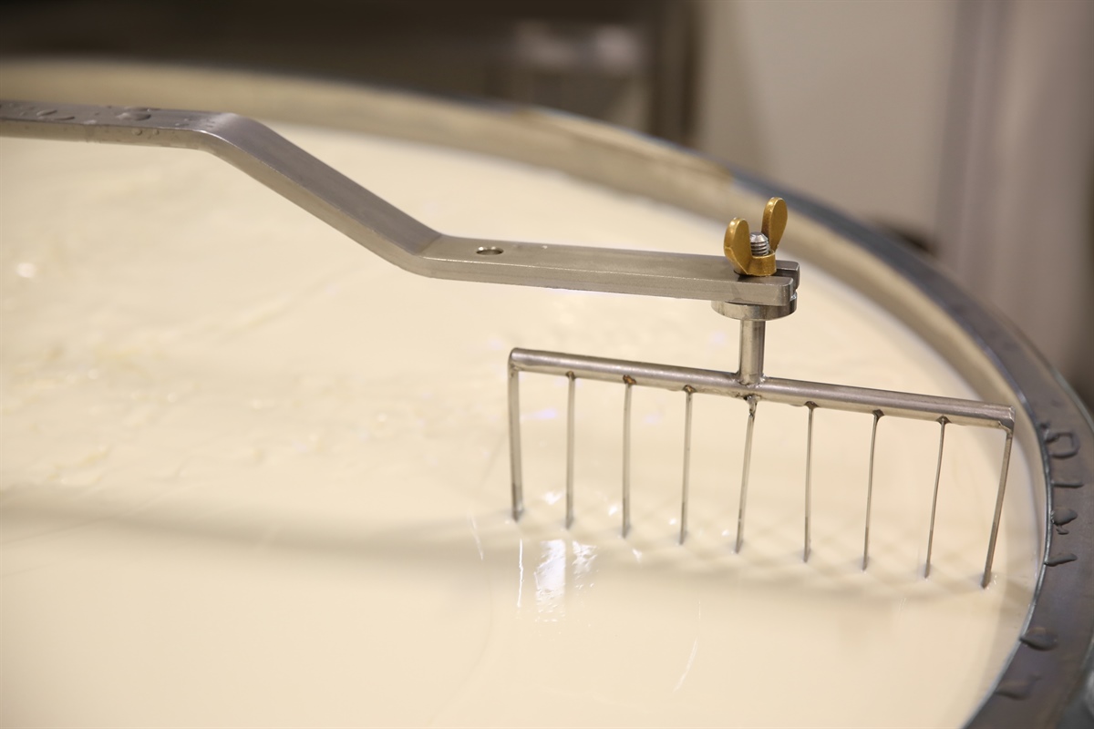 Per i formaggi packaging innovativo con il siero di latte