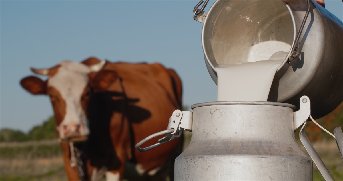 Nei primi due mesi del 2023 si conferma il calo della produzione di latte in Italia