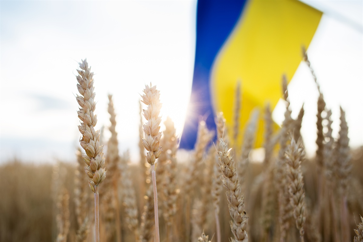 UE, annunciato accordo per rimuovere blocco delle importazioni di grano dall'Ucraina
