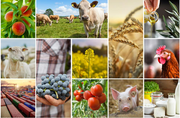 UE, primi segnali di miglioramento nei mercati agricoli