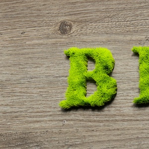 Bio - Prezzi, superfici, numeri di capi, cosa è cambiato in un anno