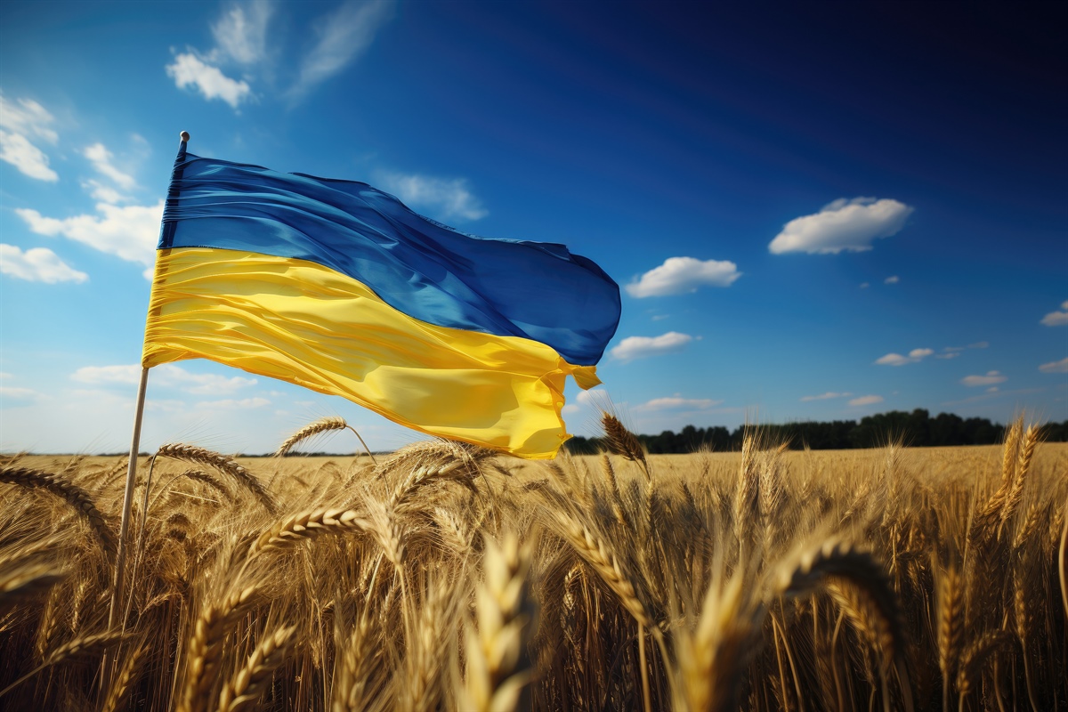 Import grano ucraino, ancora aperta la disputa in Europa