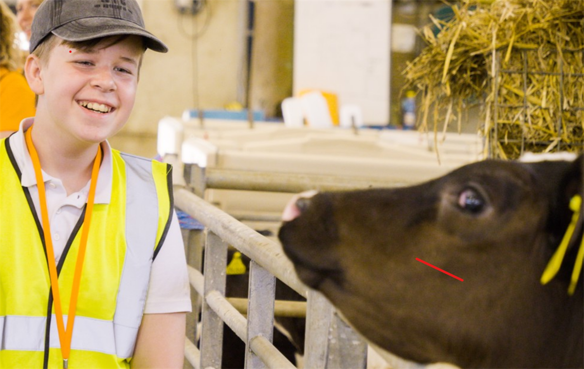 Arla investe sull’educazione alimentare dei bambini