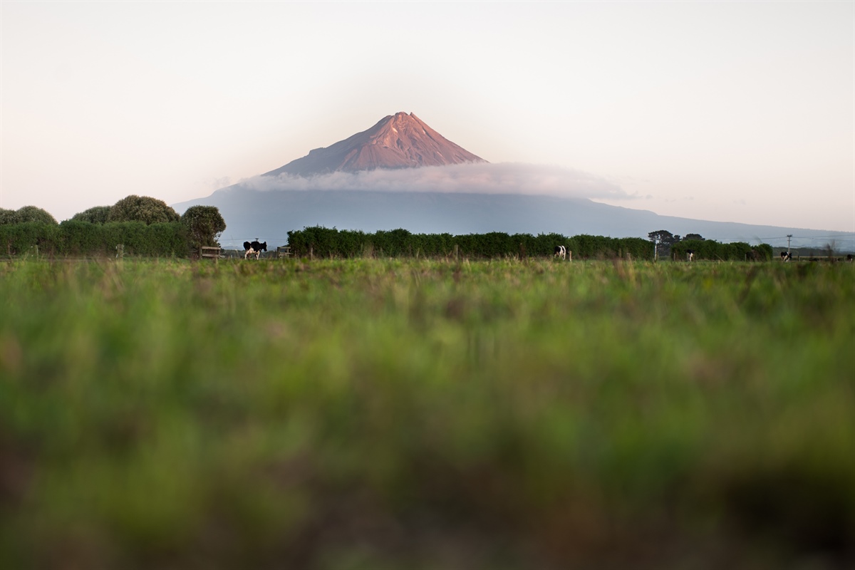 Fonterra: un nuovo piano di azione per contrastare il cambiamento climatico