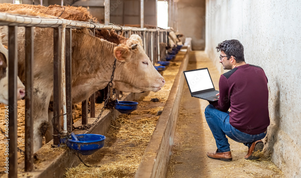 UK, il progetto Digital Dairy Chain entra nel vivo