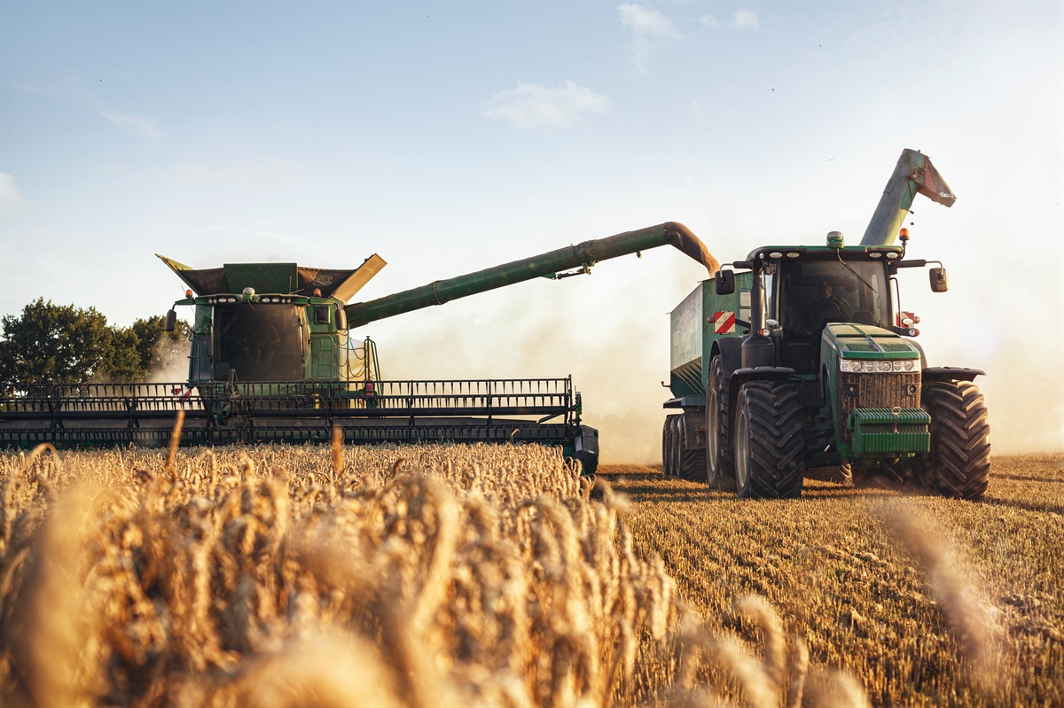Ismea, il report sulla congiuntura agroalimentare del quarto trimestre 2023