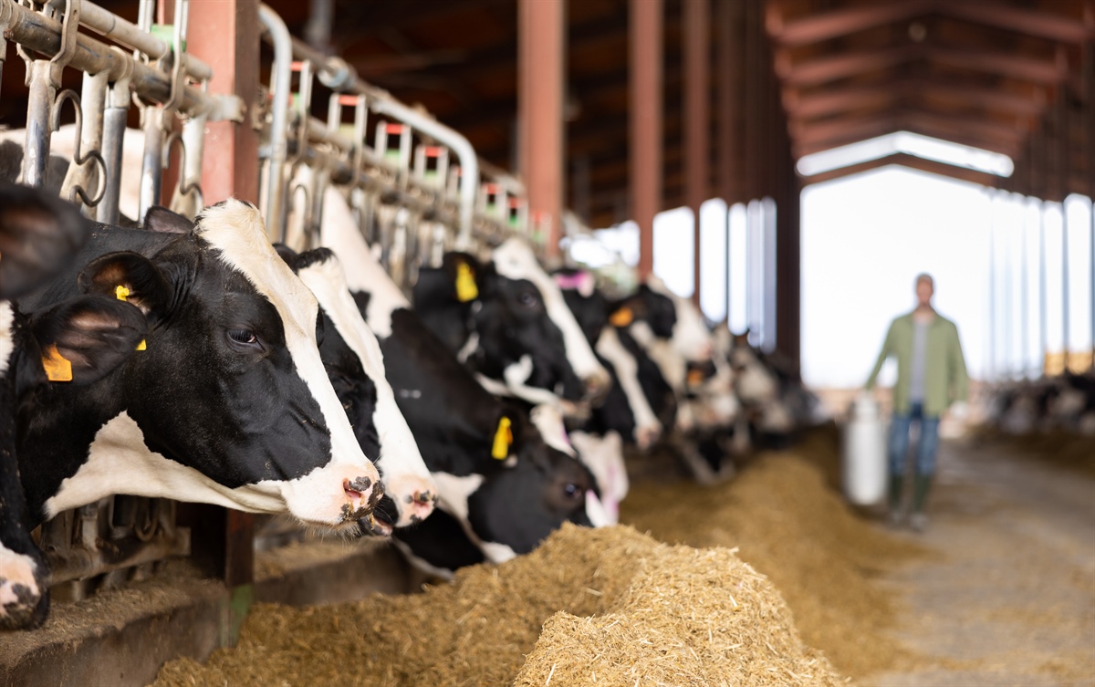 First Milk, remunerazione per i soci in crescita