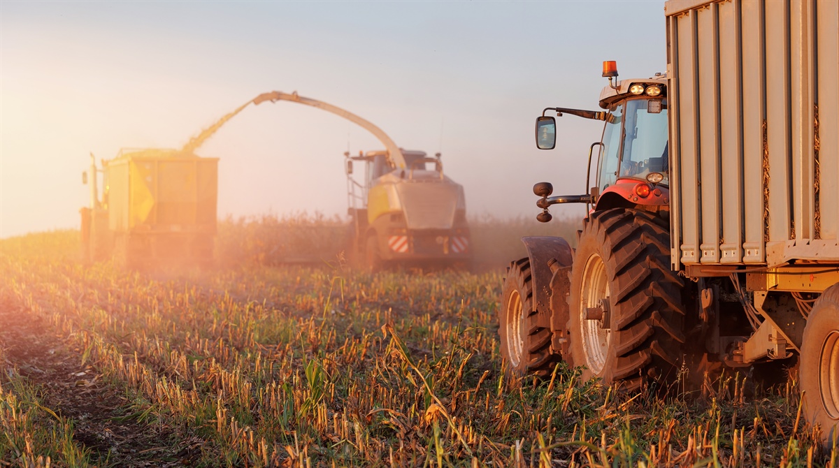 ISTAT, l’andamento dell’economia agricola nel 2023