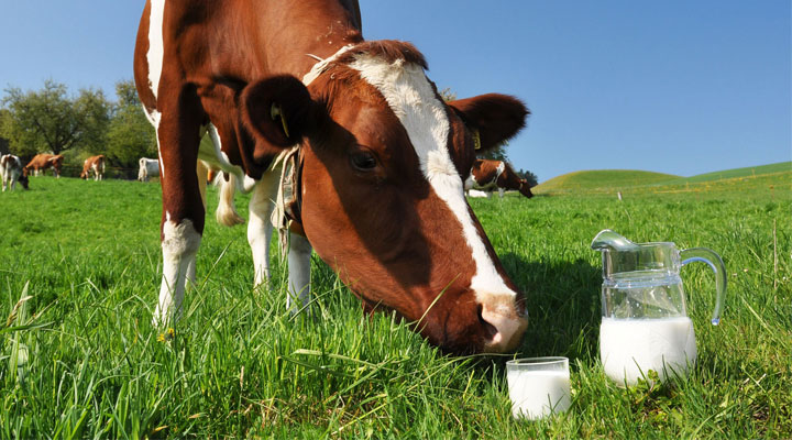 Gli USA verso una nuova regolamentazione per i sostituti del latte