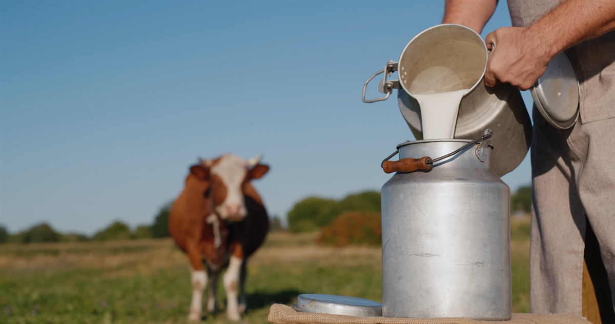 First Milk, prezzo in crescita a novembre