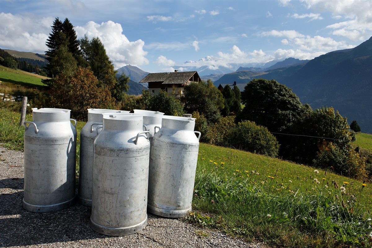 Sodiaal, partnership strategica con Altitude