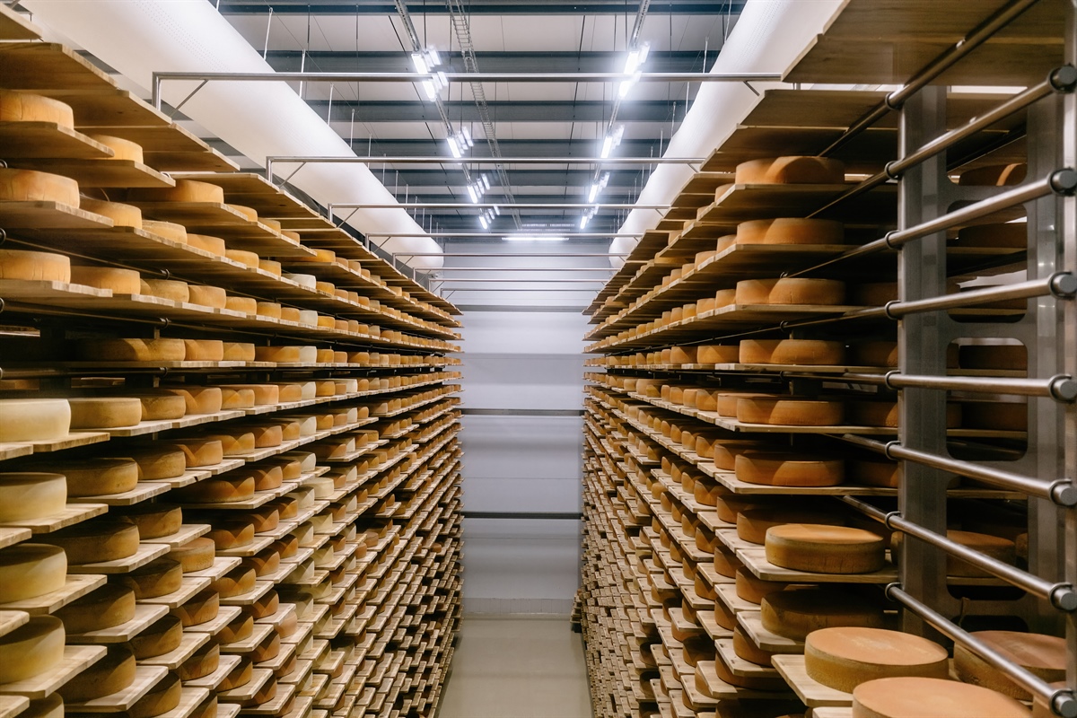 DMK, investimenti in Olanda