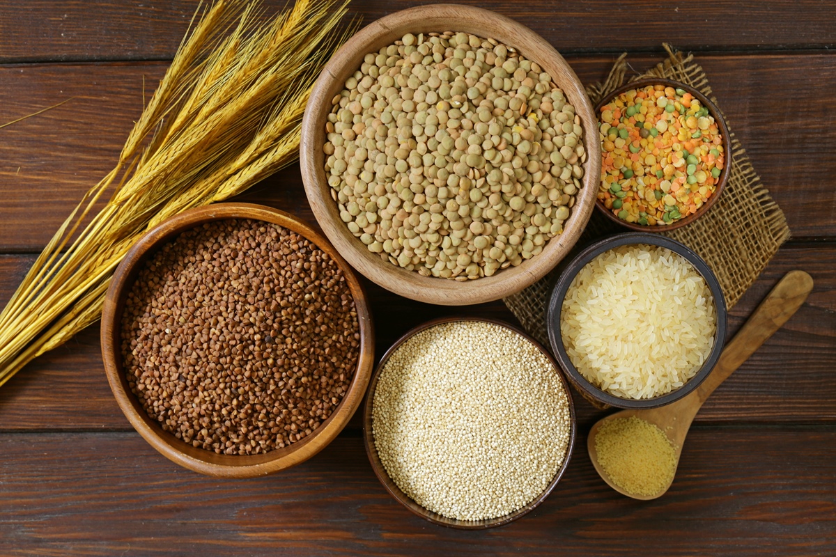 Cereali e semi oleosi, lo stato del commercio globale a marzo 2025