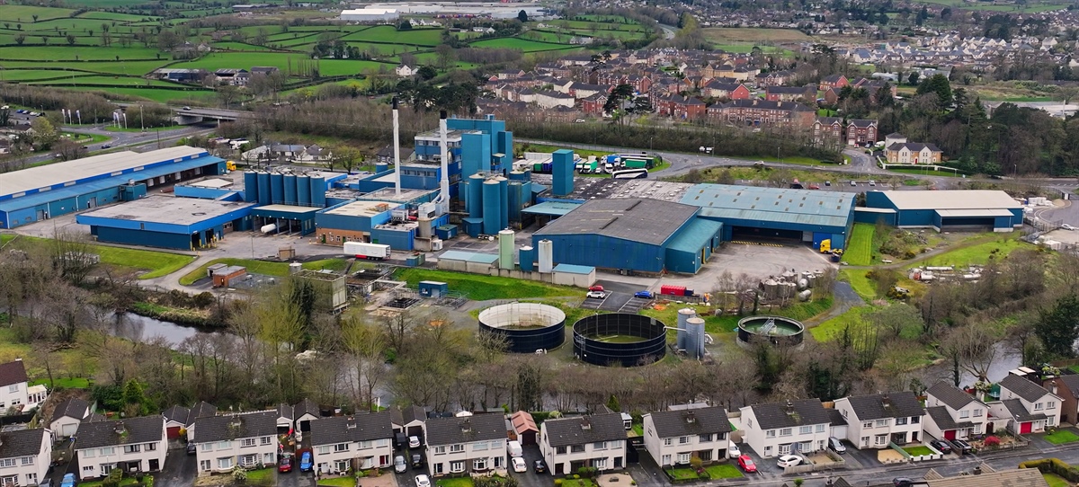 Lakeland Dairies, prezzo in calo a febbraio