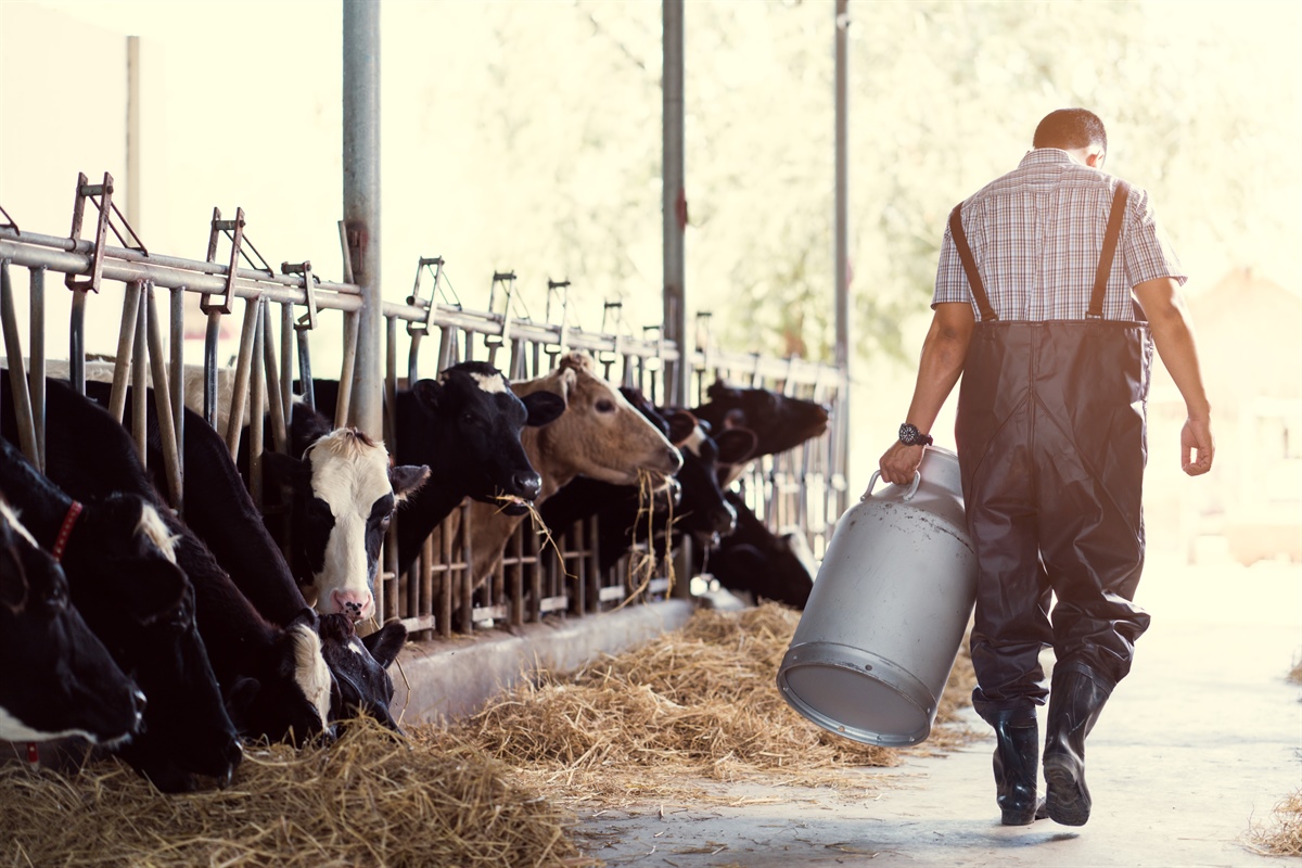 Dairygold, prezzo di base stabile a marzo 2025