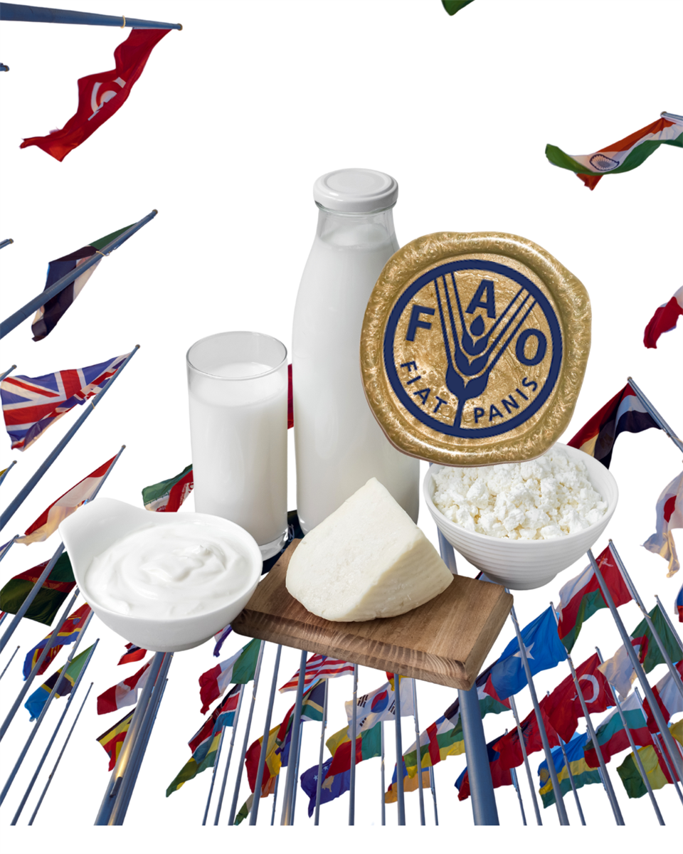 FAO, a settembre in calo l'indice dei prezzi agricoli