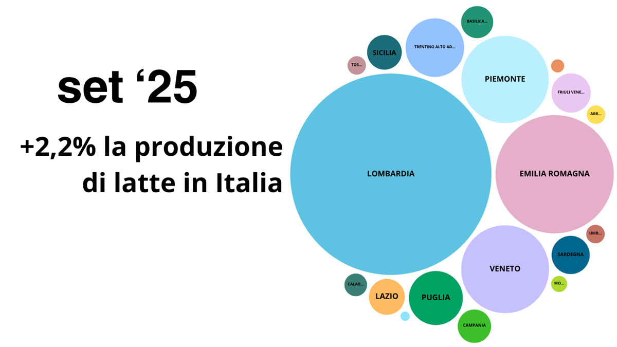 Produzione latte in Italia, +2,2% a settembre
