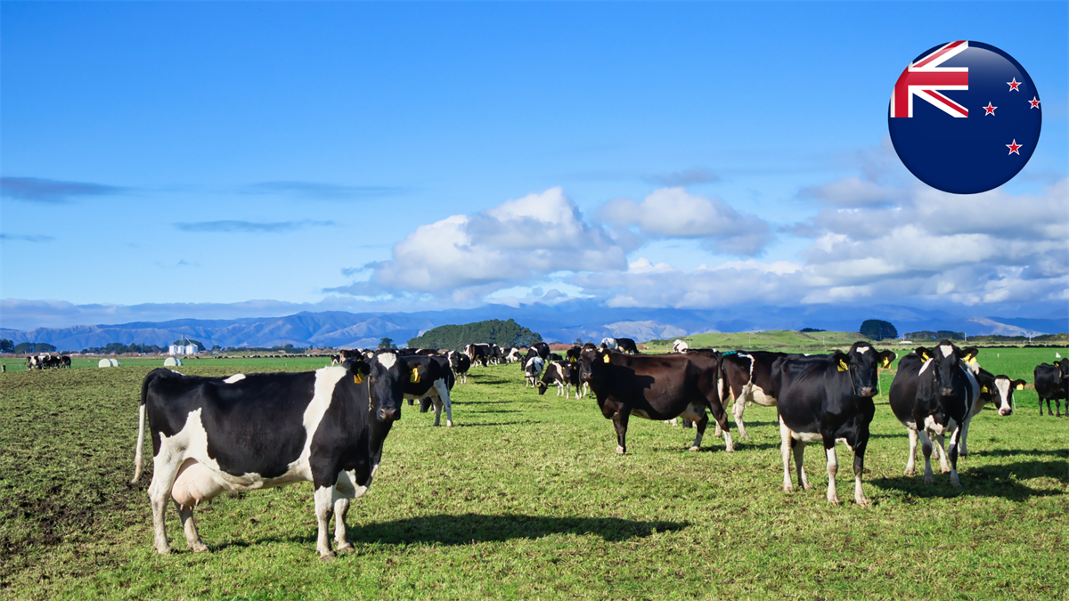 Fonterra, rivisto al ribasso il prezzo del latte, produzione in aumento del +1,3%