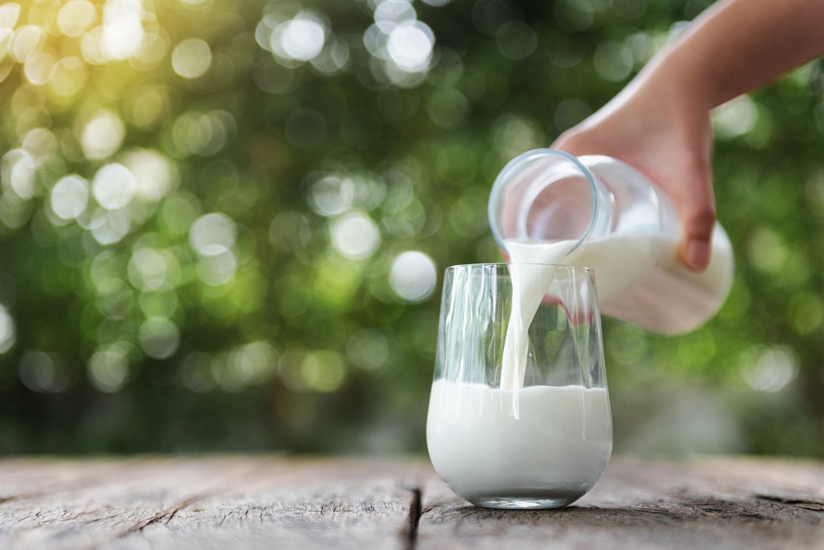 Prezzi del latte in calo in Europa: ad aprile 2026 media a 39,76 euro per 100 kg