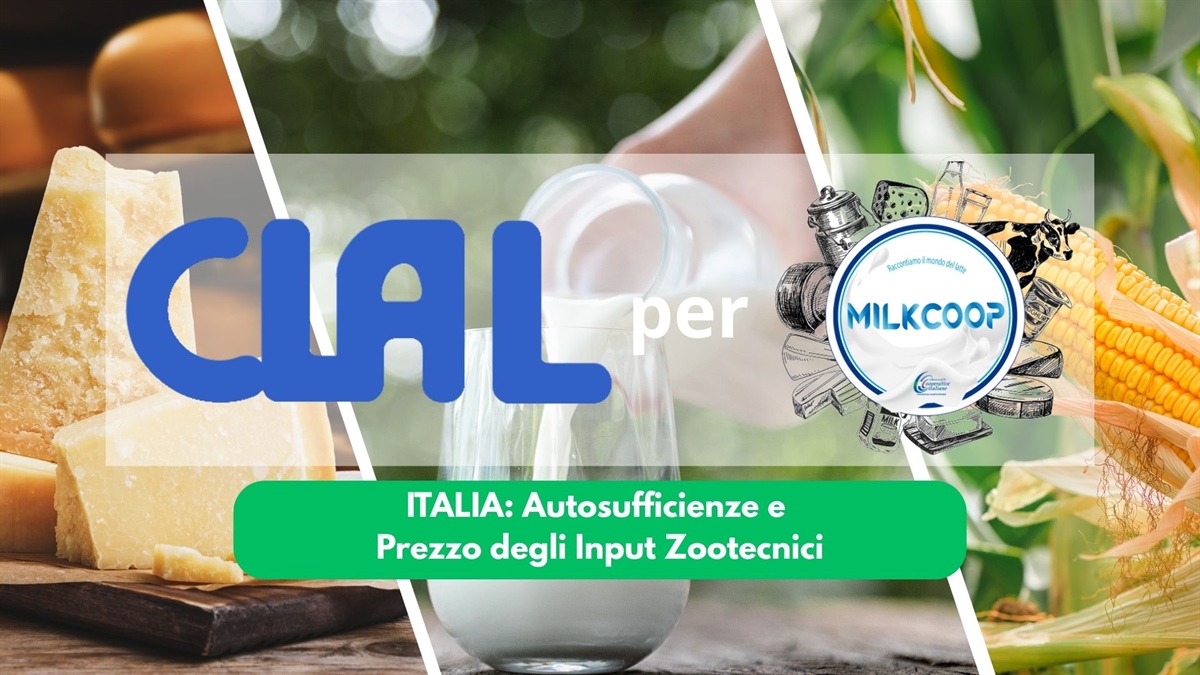Italia: cala l'autosufficienza dei cereali, mentre si stabilizzano i prezzi degli input zootecnici
