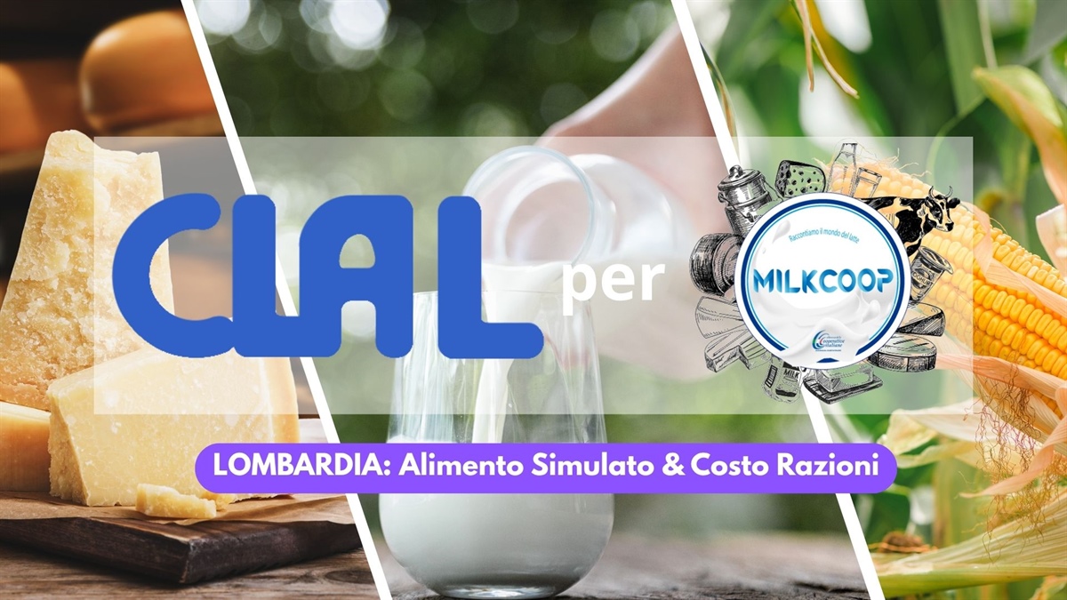 Costi alimentari in lieve risalita, mentre il prezzo del latte rallenta