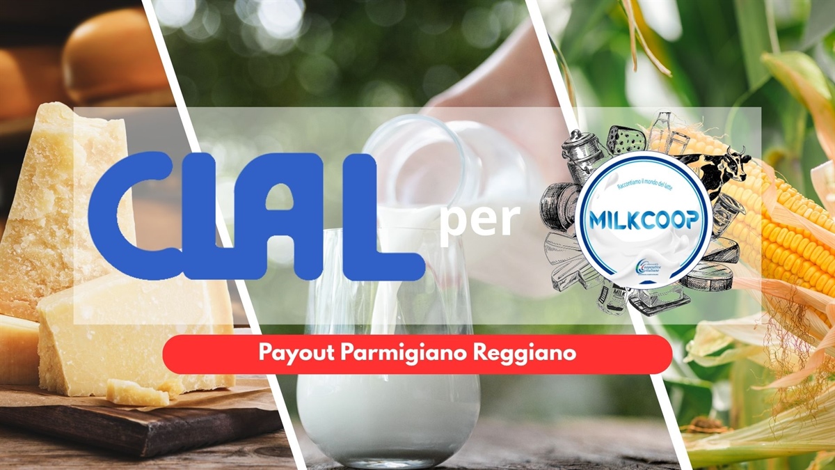Parmigiano Reggiano 12 Mesi: Payout Record a 109 €/100 Kg