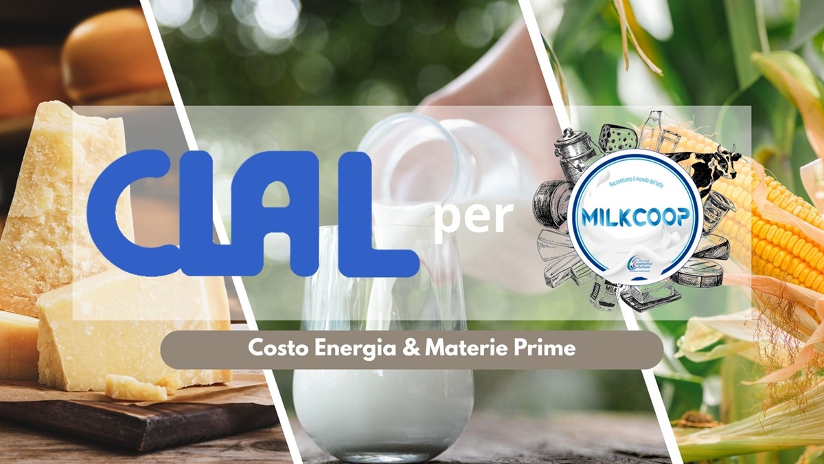 Energia e materie prime: il gas torna a correre, mentre il petrolio rallenta