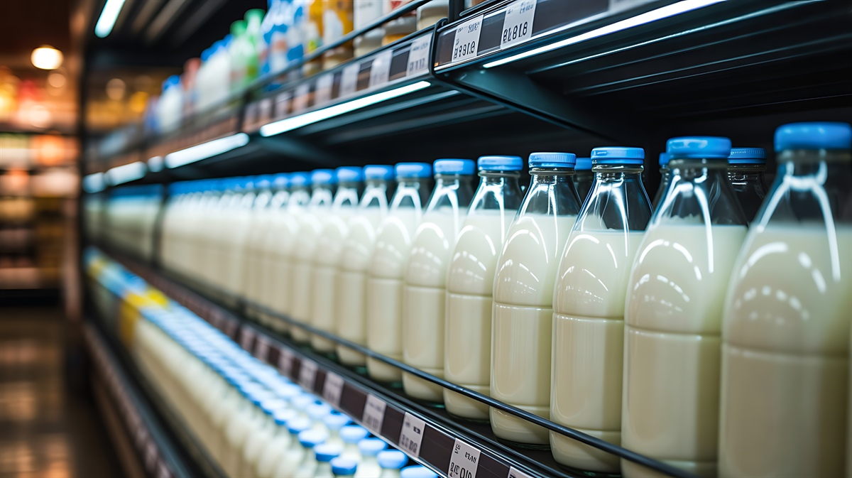 Dairy Dashboard della Commissione Europea: il mercato del latte resta dinamico