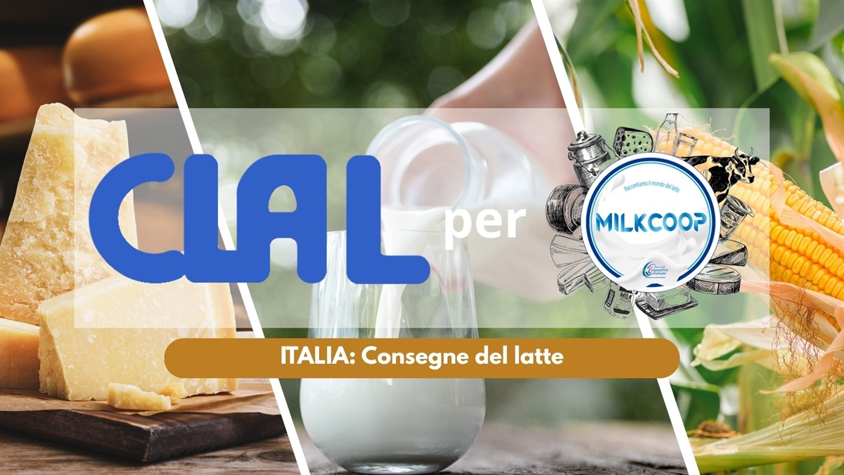 Consegne di latte in Italia: analisi del secondo trimestre