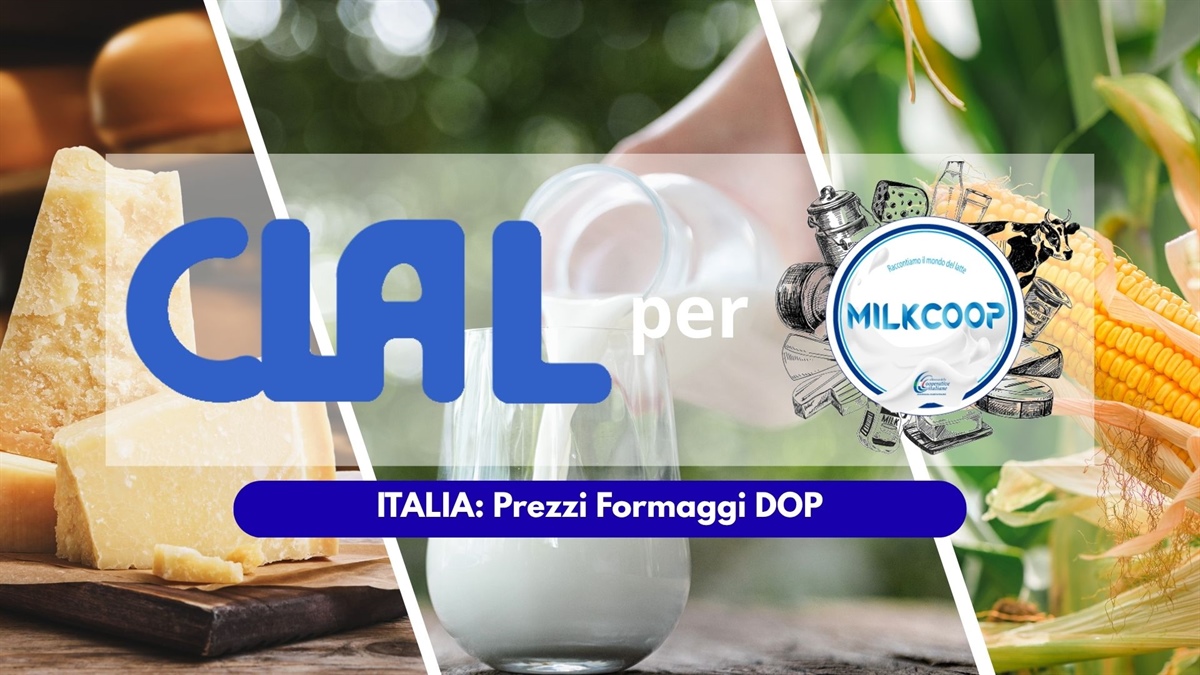 Prezzi dei formaggi DOP Agosto