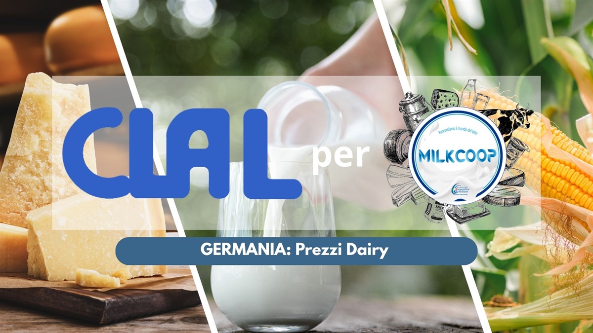 Germania: i prezzi dei prodotti lattiero-caseari (settembre 2026)
