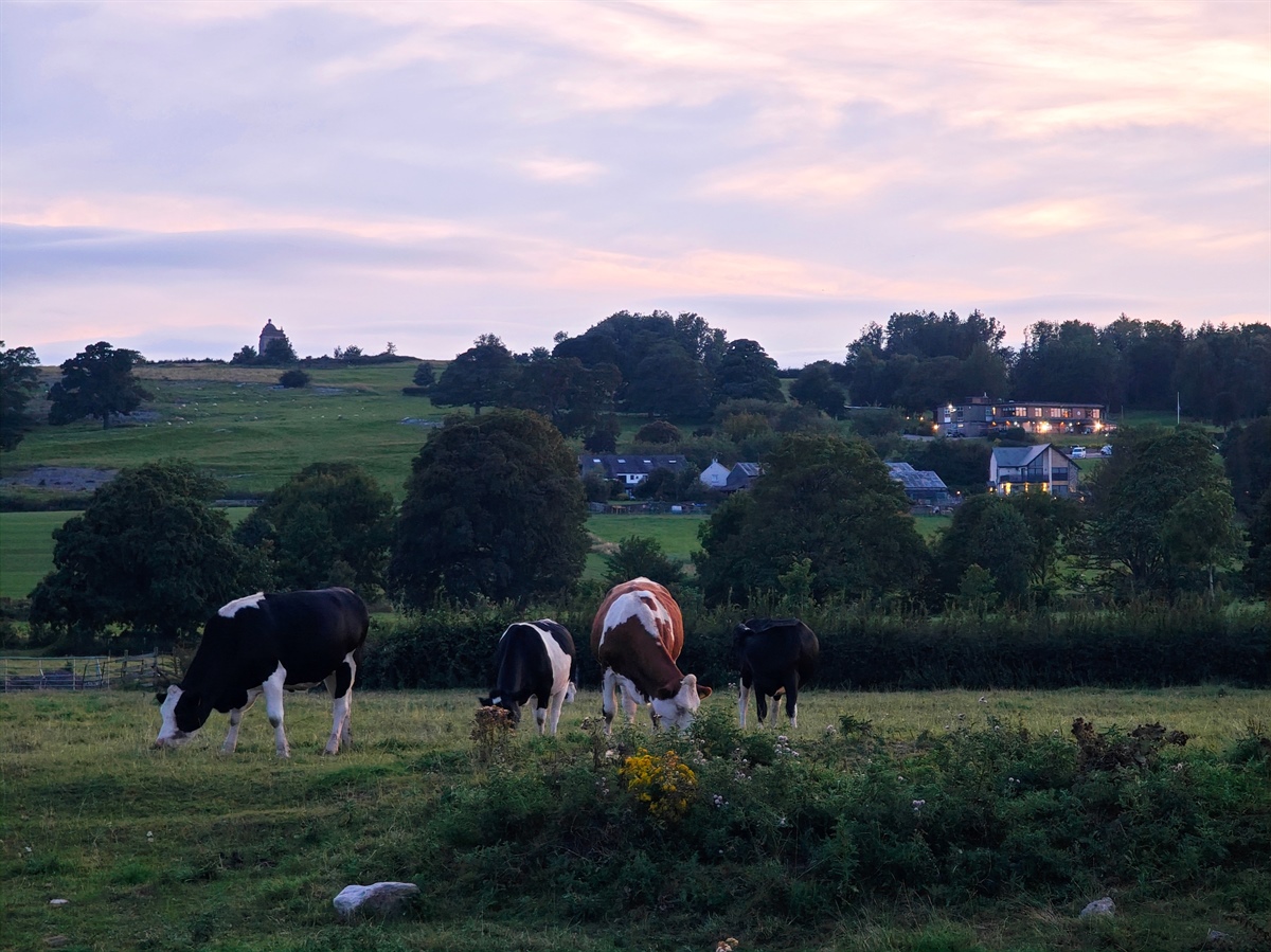 Lakeland Dairies aumenta il prezzo del latte di agosto