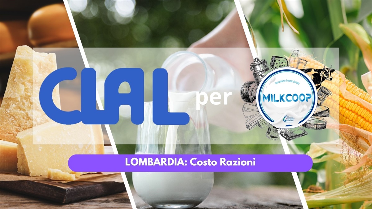 Analisi dei costi delle razioni per le bovine da latte in Lombardia a Settembre 2026