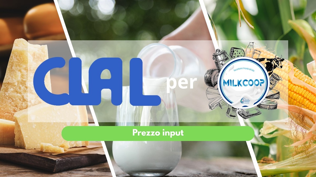 L’andamento dei prezzi degli input in Italia: analisi e aggiornamenti a settembre 2026