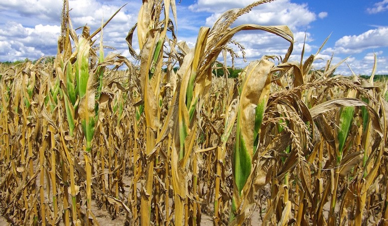 SICCITA' E CALDO MINACCIANO IL MAIS