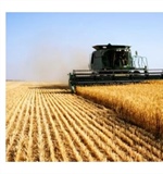 L’Europa vieta le pratiche commerciali sleali nella filiera agroalimentare