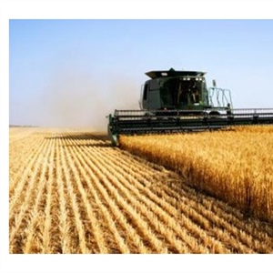 L’Europa vieta le pratiche commerciali sleali nella filiera agroalimentare