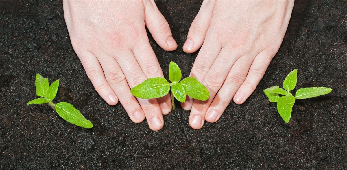 Ismea, via al bando per investimenti nel settore agroalimentare