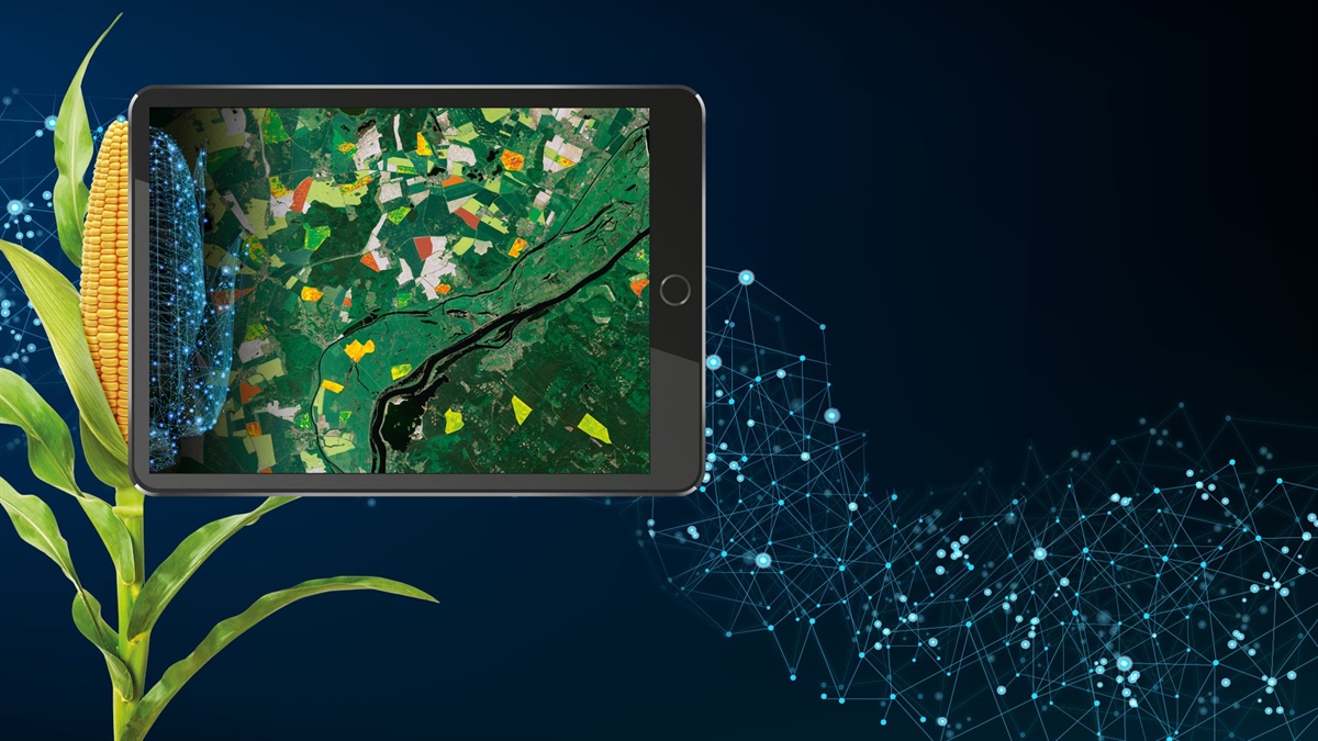 Agricoltura 4.0, Airbus prende il volo e diventa Verde