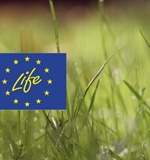 Ambiente e clima, accordo Ue sui finanziamenti 2021 - 2027