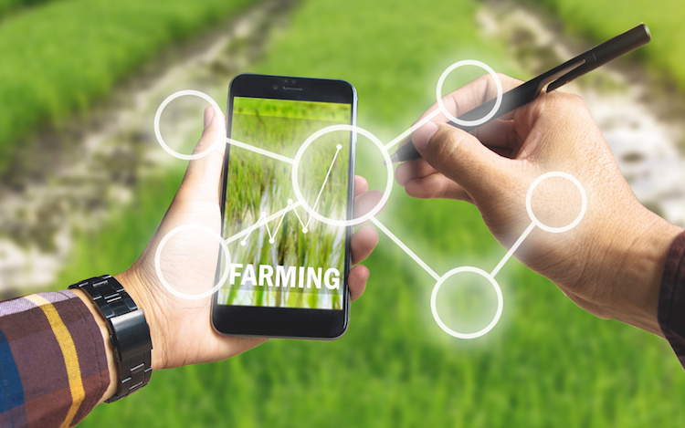 L'Ue punta a controlli digitali dal campo alla tavola